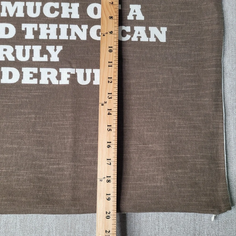 Pottery Barn Too Much of‎ a Good Thing Can Be Truly Wonderful Pillow Cover 20x20